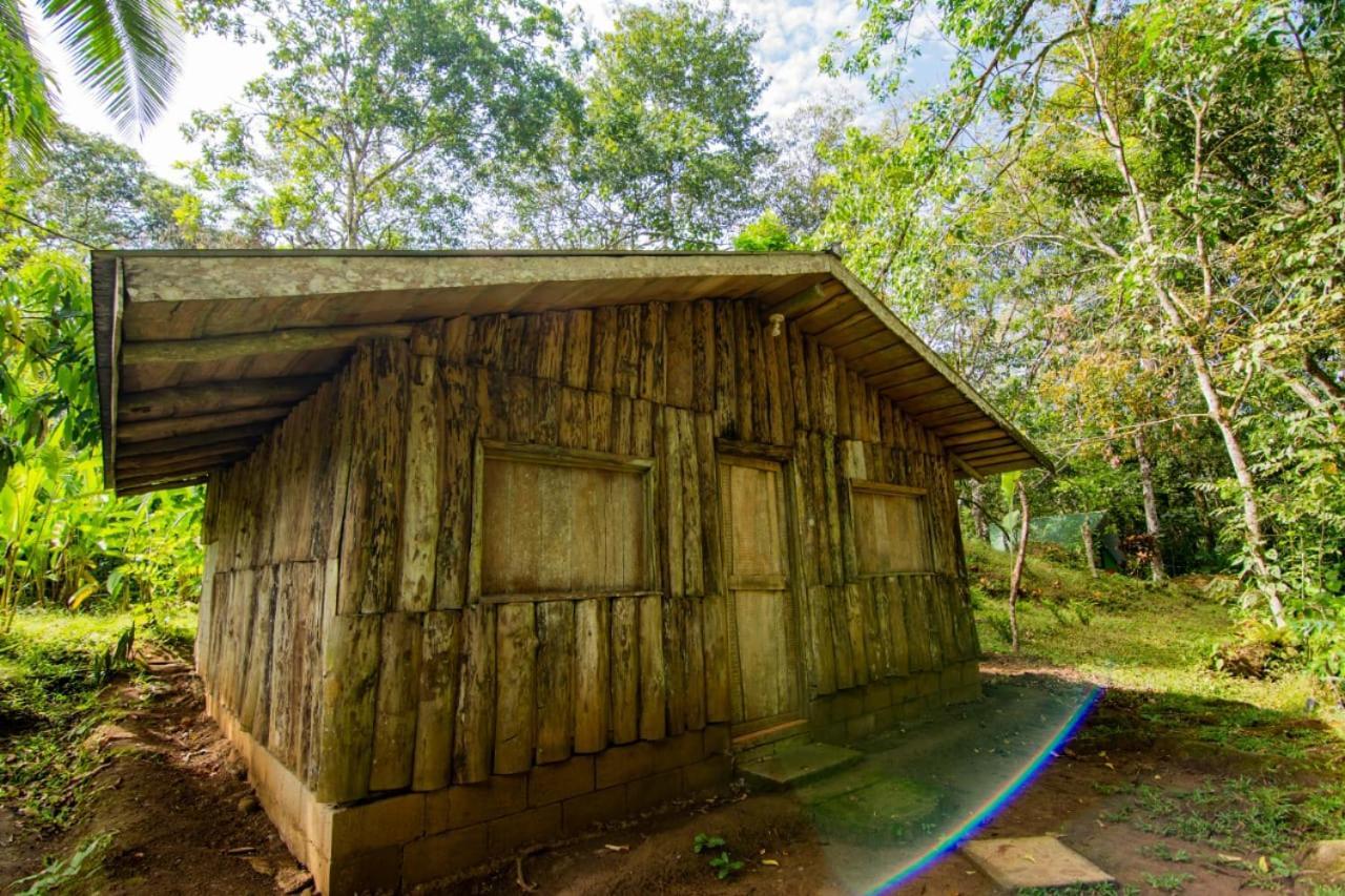 Los Chocuacos. Guacimo  Ngoại thất bức ảnh